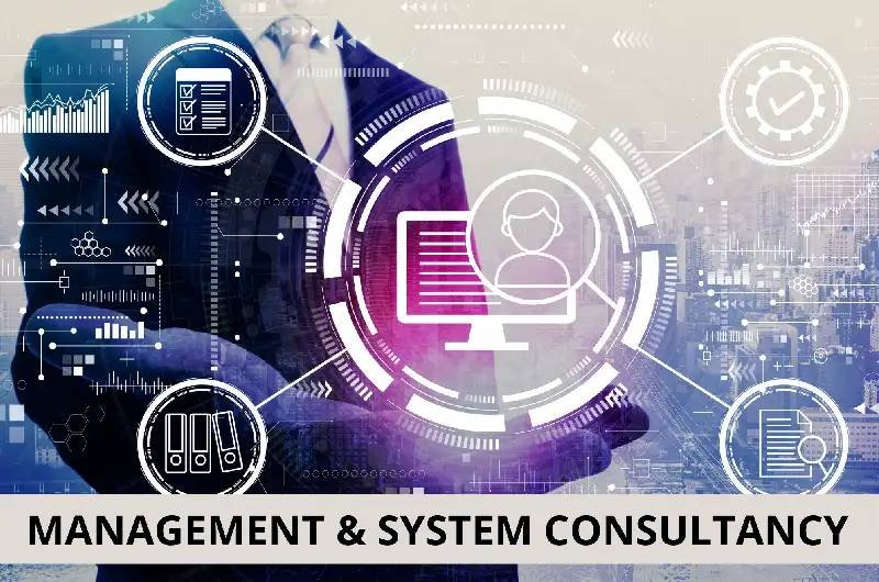 Management Systems Consulting